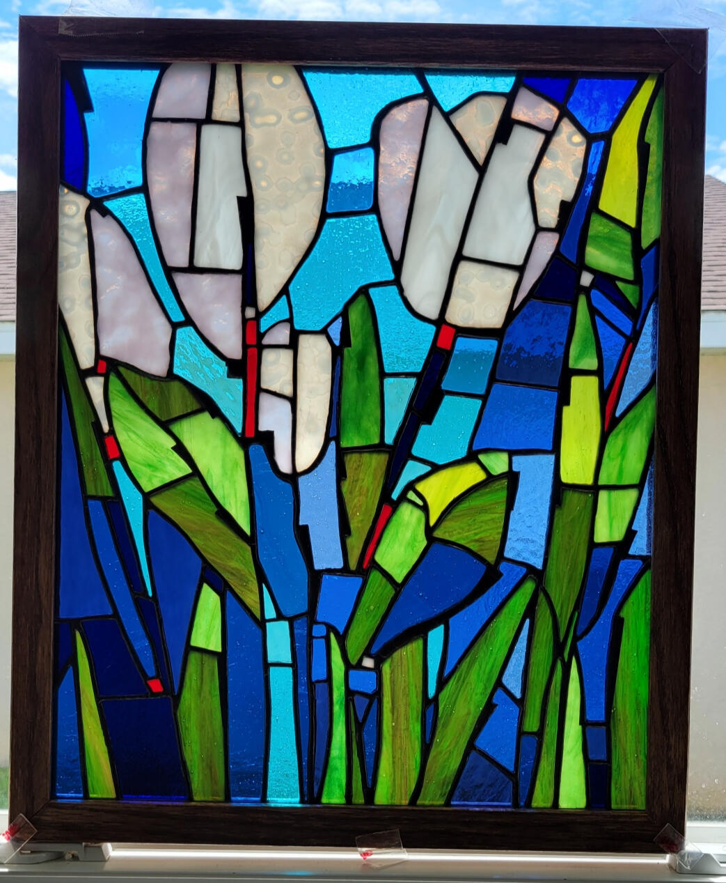 "Tulipa of van de Wetering" 16 x 19 in